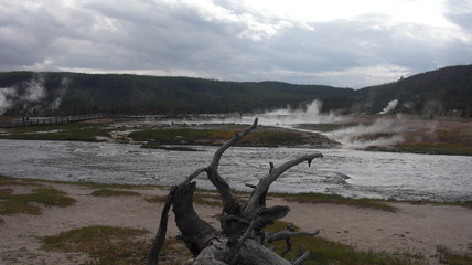 Fototapeta premium midway geyser basin parc national de yellowstone