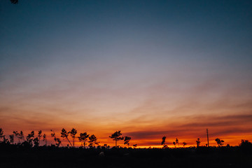 Obraz premium Trip to Atlantic Ocean - Torreira