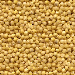 Seamless photo texture of millet groats