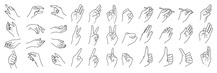 Fotobehang Handen geïsoleerd op een witte achtergrond, Hand collectie, vector overzicht illustratie, Set vinger © THANIT