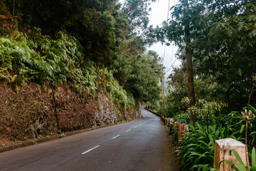 Fototapeta premium Relaxing trip to Madeira