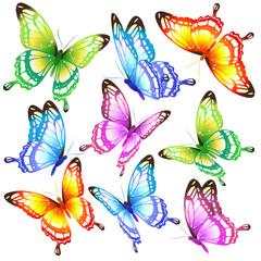 Obraz na płótnie Canvas beautiful color butterflies,set, isolated on a white