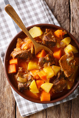 Spicy stew estofado with beef and vegetables in a bowl close-up. Vertical top view