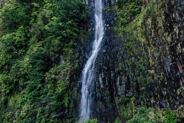 Fototapeta na wymiar Trip to Madeira Island - Urlaub auf Madeira