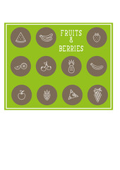 Set of outline print fruit and berries/ thinline silhouette symbols and templates