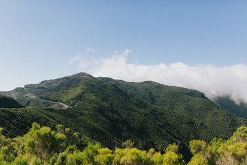 Obraz premium Trip to Madeira Island - Urlaub auf Madeira