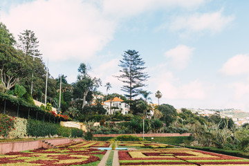 Fototapeta premium Relaxing Holiday on Madeira Island