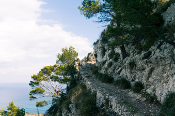Panoramic Hiking Trail