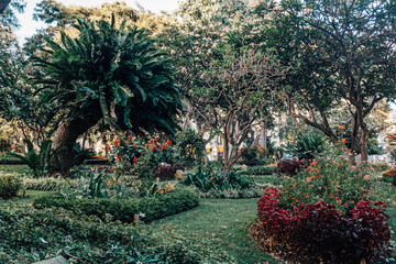 Relaxing Holiday on Madeira Island