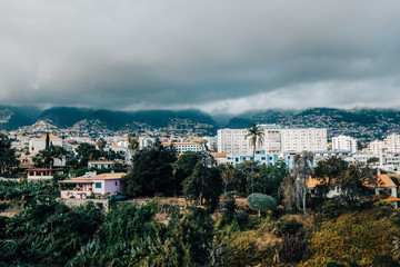 Relaxing Holiday on Madeira Island