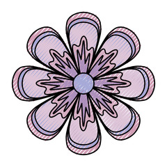 beautiful flower icon 