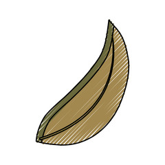 leaf icon image
