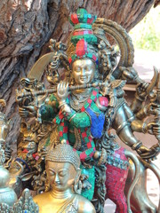 Fototapeta premium places birds children budhha shantistupa camels water leh ladakh thailand