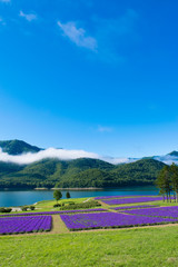 南富良野　金山湖