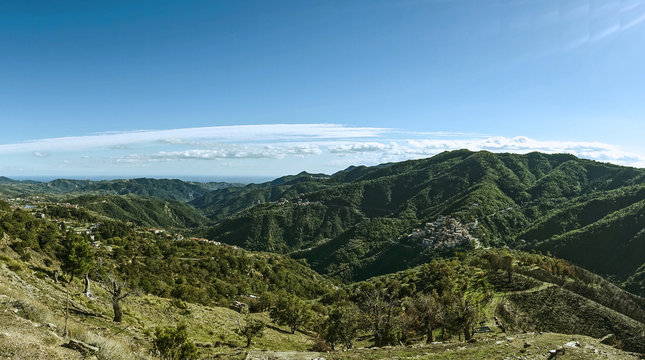 Foresta Sila Piccola 732