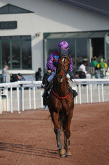 trot monté