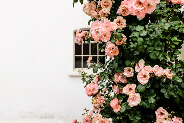 Trip to Vienna in Austria - Kurzurlaub in Wien