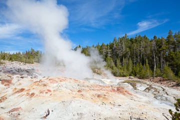 Norris geyser basin