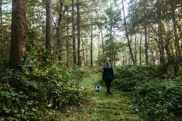 Obraz premium Herbstlicher Wald-Spaziergang