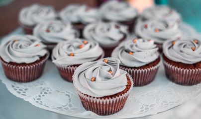 Chocolate muffin cupcakes in plate