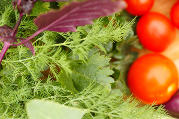 Harvest of fresh vegetables on a wooden background, in garden background. Top view. Garlic, beet,...
