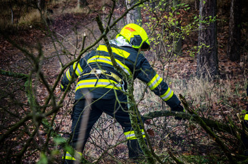 Firefighters in action after a windy storm