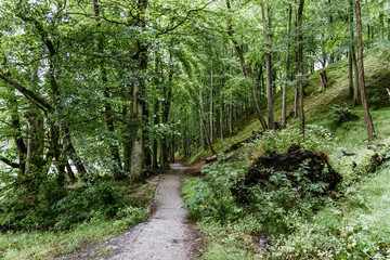 Obraz premium Urlaub im Ostseebad Binz auf Rügen
