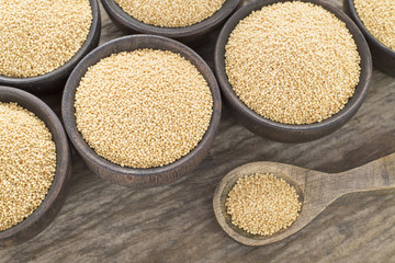 Amaranth seeds - Amaranthus