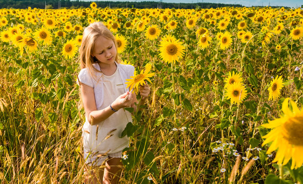girl paints sunflowers in a field