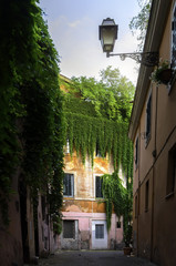 View of street inTrastevere