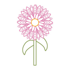 flower plant icon image