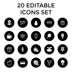 Set of 20 leaf filled and outline icons