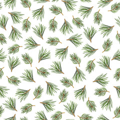 Seamless pattern with pine tree branches on white background. Hand drawn watercolor illustration.