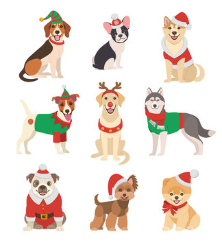Puppy Cartoon Images – Browse 250,291 Stock Photos, Vectors, and Video |  Adobe Stock