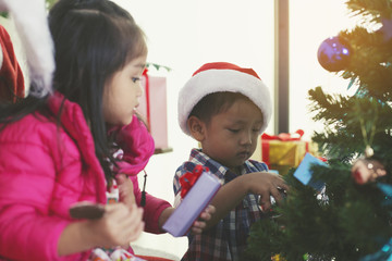 Two brothers helped decorate the Christmas tree.