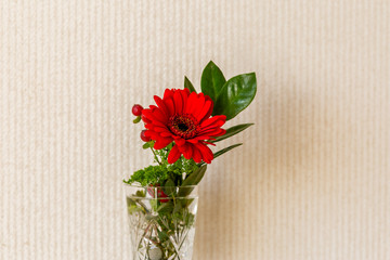 bouquet of red gerbera flowers and a green twig on a light background