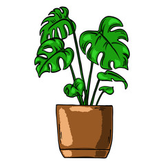 Green house plant in brown pot isolated on white background. Cartoon ink sketch. Hand drawn vector illustration.