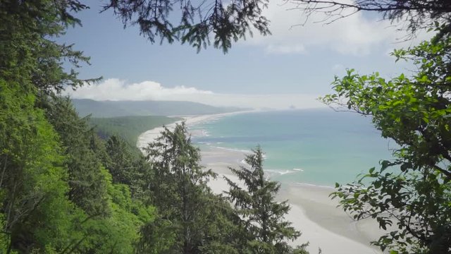 sony-alpha-a6300-north-coast-beach-view-with-trees-around.mov