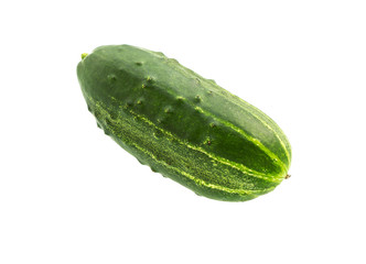 Cucumber isolated on white. Fresh cucumber.