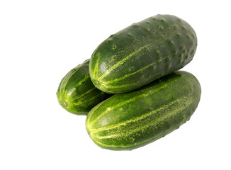 Cucumber isolated on white. Fresh cucumber.