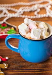 Obraz na płótnie Canvas Cup of cocoa with marshmallow.