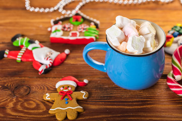 Cup of cocoa with marshmallow.
