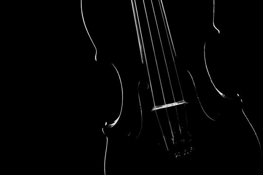 Violin close up classical music instruments