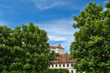 Prague castle