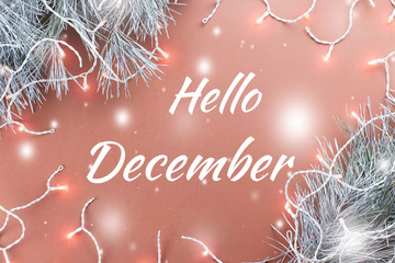 Hello December greeting card with fir tree and Christmas lights in background © Maria Shchipakina