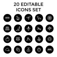 Set of 20 natural outline icons