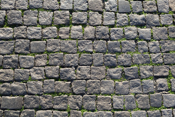 Green grass texture paving stone style seamless