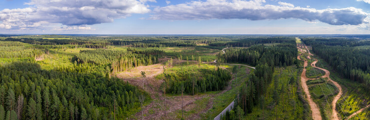 Naklejka premium Aerial shot of forest and deforestation over the hills with trees chopped down. Aerial panorama.