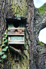 Wooden bird house 