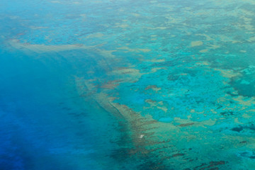 A Reef from Above